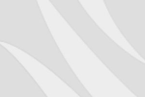 Spiegel-Online – Fliegende Freaks vor San Francisco