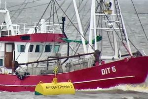 MATHILDE BRUHNS – DIT 5 – DQQY MMSI 211589000 – Emden – Germany – Krabbenkutter