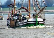 Schmack GESINE von PAPENBURG DCLD MMSI 211279790 Emden Segelschiff