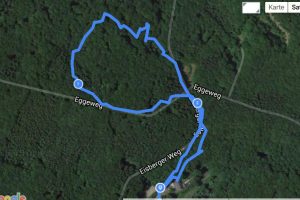 Endomondo App    vs    Garmin Vivoactive GPS-Uhr