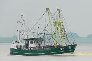 JAN – POG1 –  shrimp trawler – Kutter Emden – Dollart – Unterems