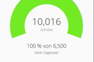 Fitnesstraining: 10.000 Schritte täglich