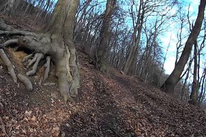 Fitness-Training: Aufstieg zur Porta-Kanzel