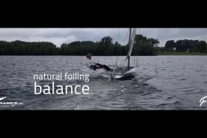 Killt der Floh das Finn ?