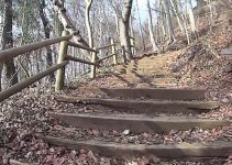 Nach den Schwarzkitteln bedroht uns jetzt auch noch der Wolf