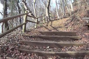 Nach den Schwarzkitteln bedroht uns jetzt auch noch der Wolf