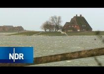 Land unter auf Hallig Hooge | die nordstory | NDR