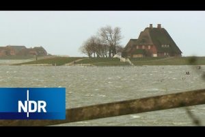 Land unter auf Hallig Hooge | die nordstory | NDR