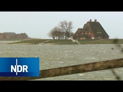 Land unter auf Hallig Hooge | die nordstory | NDR