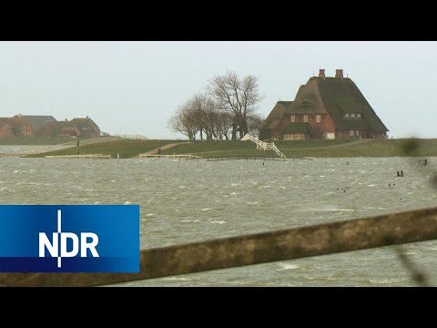 Land unter auf Hallig Hooge |...