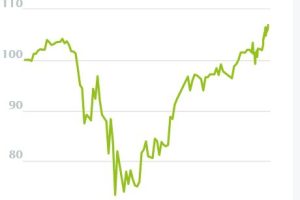 Mein Wikiofolio trotz Corona wieder mit 6,5 % im Plus