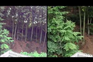 Sony AS 15 vs Campark V 30 – unbearbeitet
