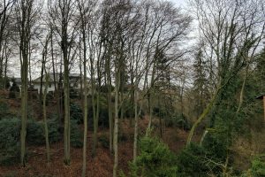 Samsung S8 – Kamera  aufmotzen