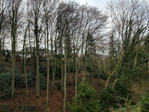 Samsung S8 - Kamera  aufmotze...