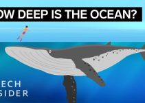How Deep The Ocean Really Is