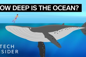 How Deep The Ocean Really Is