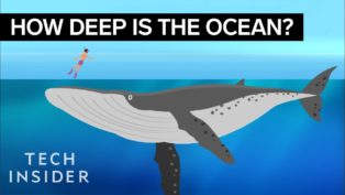How Deep The Ocean Really Is