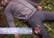 Wildunfall im Wald: Von aggressivem Wildschwein erfasst