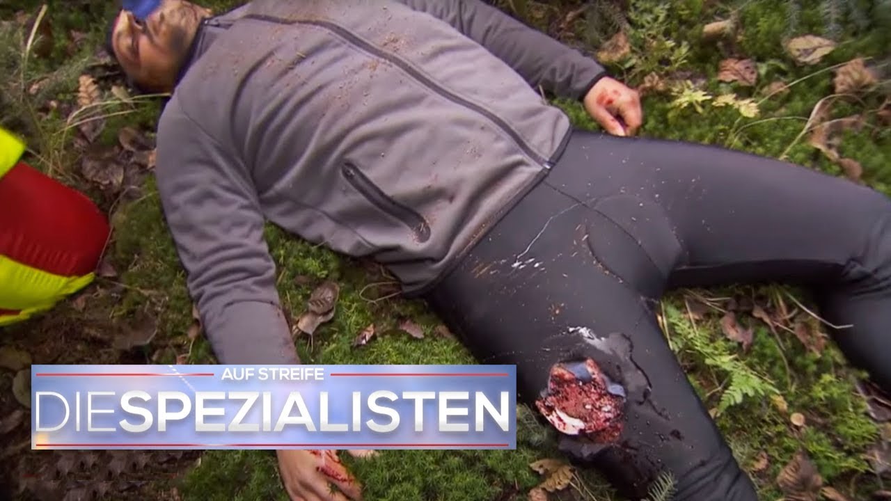 Wildunfall im Wald: Von aggressivem Wildschwein erfasst