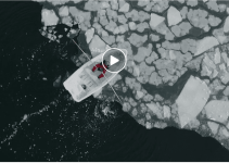 Mensch gegen Eisscholle