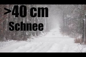 Schneekatastrophe im Anmarsch – 6. Februar 2021