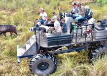 Wildschweinjagd – Catching *WILD HOGS* with DOGS off a GIANT SWAMP BUGGY