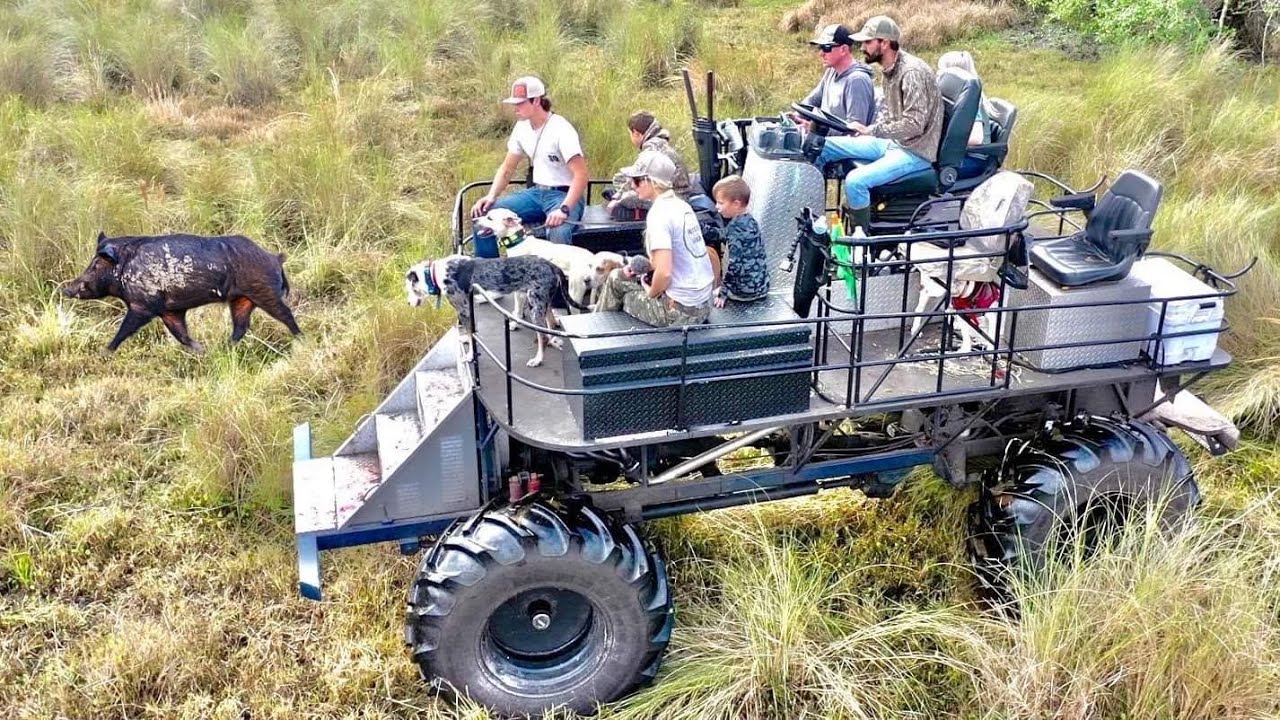 Wildschweinjagd – Catching *WILD HOGS* with DOGS off a GIANT SWAMP BUGGY