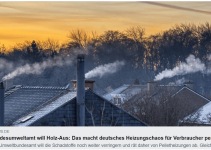 Umweltbundesamt will jetzt Holz-Aus – das macht deutsches Heizungs-Chaos perfekt
