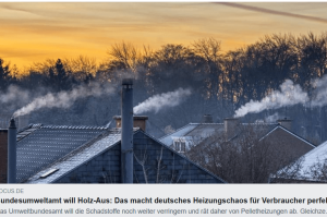 Umweltbundesamt will jetzt Holz-Aus – das macht deutsches Heizungs-Chaos perfekt