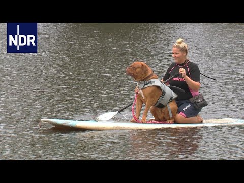 Schiffer, Lotsen und Stand-Up-Paddler | die nordstory | NDR Doku