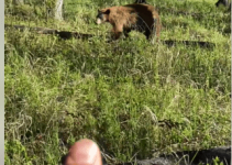 Bären-Spray im Live-Einsatz als Lebensretter
