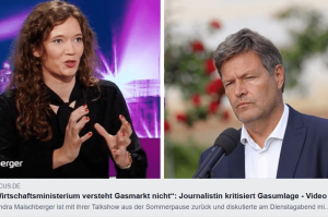 Wirtschaftsministerium versteht Gasmarkt nicht