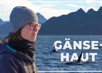 MOMENTE FÜR DIE EWIGKEIT | Alaskas Tierwelt hautnah | Van Life Alaska | #63