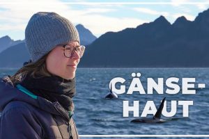 MOMENTE FÜR DIE EWIGKEIT | Alaskas Tierwelt hautnah | Van Life Alaska | #63