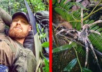 Vogelspinne direkt im Nachtlager! 6 Tage durch den Dschungel von Peru | Folge 5