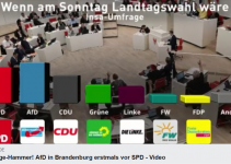 Umfrage-Hammer! AfD in Brandenburg erstmals vor SPD