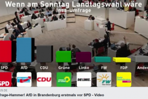 Umfrage-Hammer! AfD in Brandenburg erstmals vor SPD