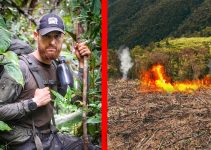 Regenwald zerstört & abgefackelt! 6 Tage durch den Dschungel von Peru | Folge 7