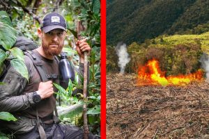 Regenwald zerstört & abgefackelt! 6 Tage durch den Dschungel von Peru | Folge 7