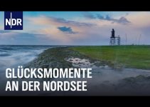 Surfen, Schwimmen, Fotografieren – Wintersport auf Norddeutsch | Nordseereport | NDR Doku