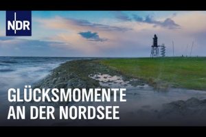 Surfen, Schwimmen, Fotografieren – Wintersport auf Norddeutsch | Nordseereport | NDR Doku