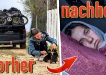 Vanlife ist ein Auf und Ab.. 😵‍💫 (verlassen wir Italien?!) – 13. Woche im Camper Van