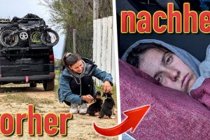 Vanlife ist ein Auf und Ab.. 😵‍💫 (verlassen wir Italien?!) – 13. Woche im Camper Van