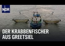 Knochenjob auf dem Krabbenkutter | Die Nordreportage | NDR Doku