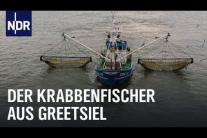 Knochenjob auf dem Krabbenkutter | Die Nordreportage | NDR Doku