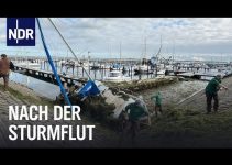 Schleswig-Holstein: Nach der Jahrhundert-Sturmflut | Die Nordreportage | NDR Doku