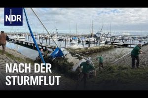 Schleswig-Holstein: Nach der Jahrhundert-Sturmflut | Die Nordreportage | NDR Doku