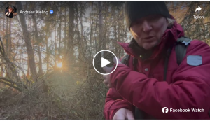 Andreas Kieling - Kleine Wald...