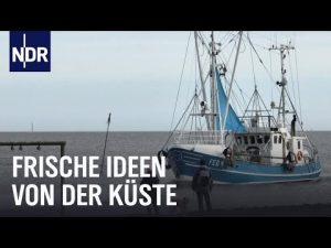 Halbinsel Butjadingen: Unterw...