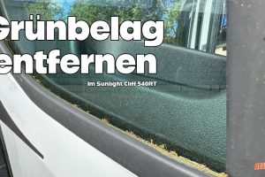 Grünbelag/Moos am Kastenwagen schonend entfernen